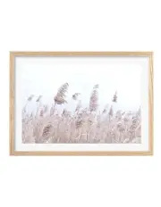 [Profile Australia] Australian Made Pampas Grass 1 Art Print A3 in Natural Frame