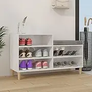 Shoe Storage Bench with Legs, Freestanding Shoe Lockers, Shoe Cabinet with Compartment for Entrance, Living Room, Hallway, 102x36x60 cm, High Gloss White