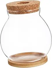 Totority Small Transparent Glass Fish Tank with Lid Mini Aquarium for Betta Fish Compact Desktop Bowl Planter for Office Decor for Small Spaces Elegant Design
