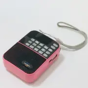 Bluetooth H-500 Multifunction LCD Display Portable AM/FM Radio Pink Only