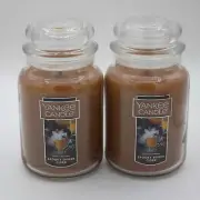 Yankee Candle Spooky Spider Cider 22oz Warm Apple Cider Clove Scent Lot of 2