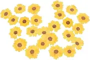 Beatifufu Natural Dried Daisy Flowers Pieces Pressed Flowers for Scrapbooking DIY Decorations