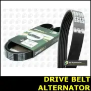 Drive Belt Ribbed Alternator Fits Peugeot 307 Opt2/2 2.0 RHS RHY 968KP6