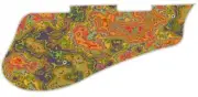 Pickguard Pick Guard 5120 Graphical Graphic Guitar Pizzaz