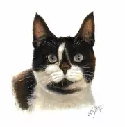 ❈ ORIGINAL Oil Portrait Painting MUNCHKIN Artist Signed Artwork Black White Cat