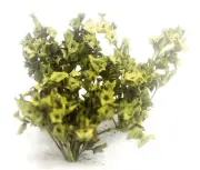 JUNGLE GRASS MODEL SET (REAL GRASS) 1/35 SCALE. TPV-076