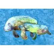 Carolines Treasures 8660PILLOWCASE Manatee Moisture Wicking Fabric Standard P...