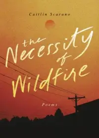 在飛比找博客來優惠-The Necessity of Wildfire: Poe