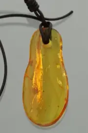 Fossil SPIDER Genuine BALTIC AMBER Adjustable Leather Pendant 5.3g 230525-9
