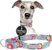 Lucky Love Dog Martingale Collar, Premium No Slip Martingale Collar for Medium Dogs, Great for Whippets, Greyhounds, and More (Caroline, Medium)