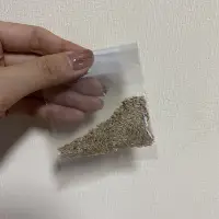 在飛比找蝦皮購物優惠-包心萵仔菜 包心萵苣 種子 菜種 菜苗 花種 花苗 蔬菜 水