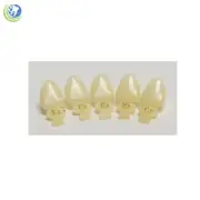 Tooth #9 Upper Left Central Anterior (ULC) Polycarbonate Temporary Crown Refills