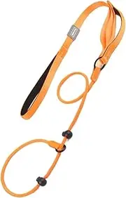 Nylon Slip Lead Dog Slip Leash and Collar Dog Training Leash Double Handle Heavy Duty Lead No Pull Puppy Walking Leash(Orange)