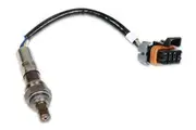 Holley Oxygen Sensor NTK Wideband 554-100