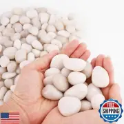 18 lbs Natural Cream White River Rocks 1-2 Inch Decorative Rocks Landscape Ro