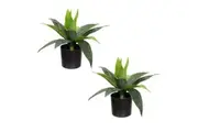 Glamorous Fusion Set Of 2 Small Agave Plant Artificial Faux Plant Decorative In Pot Pink