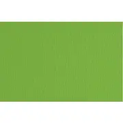 Fabriano Elle Erre Artist Paperboard 220gsm Green