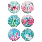 6pc Ashdene Native Flora Print Round Decorative Fridge Magnet Set 5cm Dia