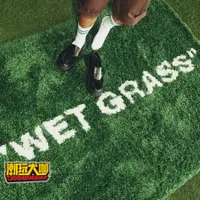 在飛比找蝦皮購物優惠-【潮玩大咖】潮牌聯名地毯溼草地WET GRASS客廳臥室長絨