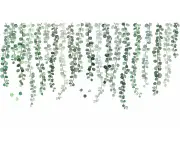 Sheets Green Plants Eucalyptus Vine Wall Decals - Removable Watercolor Art Decor for Nursery, Living Room