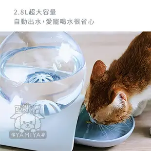 PAOPAO寵物飲水器2.8L 喝水器 免插電自動出水 寵物 貓咪 狗狗 飲水器 飲水器《亞米屋Yamiya》