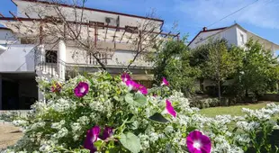 Apartment in Starigrad Paklenica not far from the sea