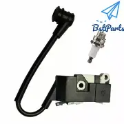 Ignition coil Spark plug F Baumr-ag SX62 SX66 MTM 62cc Jon Cutter 66cc 45cc 52cc