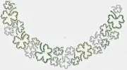 Irish Shamrock Neckline Rhinestone Design Hot Fix Bling Iron On Transfer Motif