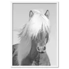 Horse Wall Art Print. Modern Art Print. Scandi Home. Poster or Framed | ANA-07