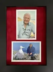 SIR DAVID ATTENBOROUGH HAND SIGNED PHOTO IN A4 FRAME DISPLAY + COA