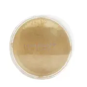 DermaQuest DermaMinerals Buildable Coverage Loose Mineral Powder SPF 20 - # 2W 1