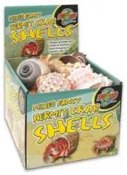 Hermit Crab Shell Null Natural