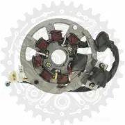 101 Octane Stator For Giantco Cyclop 50 2T