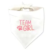 Gender Reveal Baby Shower Party Decoration Team Girl Dog Bandana Pink Photo Prop