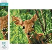 DIAMOND DOTZ DQ9 Intermediate Kit, Colourful, 41 x 33cm