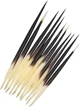 10Pcs Porcupine Quills Hair Stick Indian Crafts Accessories Fishing Buoy DIY Sewing Project Kits Arts