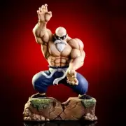 Anime Dragon Ball Master Roshi Action Figure with Box (25cm)