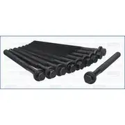 Austral Cylinder Head Bolt Set - 81016200