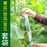 防蟲保護袋 果袋套 苦瓜套袋專用袋絲瓜黃瓜蔬菜水果套袋果蔬袋子防蟲防水防鳥保護袋『CYD0759』