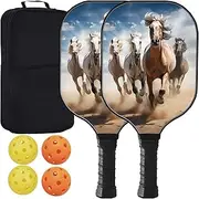 Zariocy Fiberglass/Graphite Pickleball Paddles - Lightweight Pickleball Racket Set with 4 pickleballs, Carrying Bag, Perfect for Pickleball Gifts for Women, Men, Adults, Beginners, and Pros H-189
