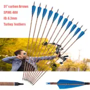 Archery 31" Carbon Arrows Sp400 4-Inch Feathers Arrows for Recurve/Compound bow
