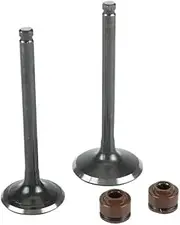 for Lifan 125cc Intake Exhaust Valve with Oil Seal Kit for 52.4mm Bore LF125 Horizontal Engine Dirt Pit Bike ATV Quad Parts(Valves Oil Sea Set)