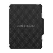iPad Air 11-inch (M2/M3) Impact Folio Case Pyramid iPad Case
