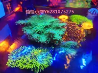 在飛比找Yahoo!奇摩拍賣優惠-小米家智能海缸珊瑚燈桌面造景水族箱小丑魚缸水草燈DIY改珊瑚