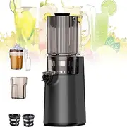 Juicer Machines, Cold Press Masticating Juicer, 250w Press Slow Juicer, with 11cm Feeding Chute, Portable Pomace Separation Juicer, for Fruits Vegetables,Grey
