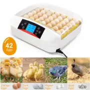 Automatic 42 Egg Incubator Auto Turning Chicken Poultry Pigeon Quail Egg Hatcher