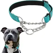 Martingale Dog Collar, Reflective Nylon Dog Training Collars Soft Padded No Pull Stainless Steel Chain Collar Adjustable for Small Medium Large Dogs Teal Large