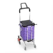 Foldable Stainless Steel Shopping Trolley Cart