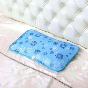 水枕冰枕水枕頭冰枕頭成人涼枕墊雙人冰涼枕大號充水降溫冰墊夏季
