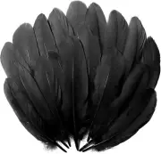 100Pcs Black Goose Feathers for Crafting, Crafts, Home Deco, Angel Wings, Carniv
